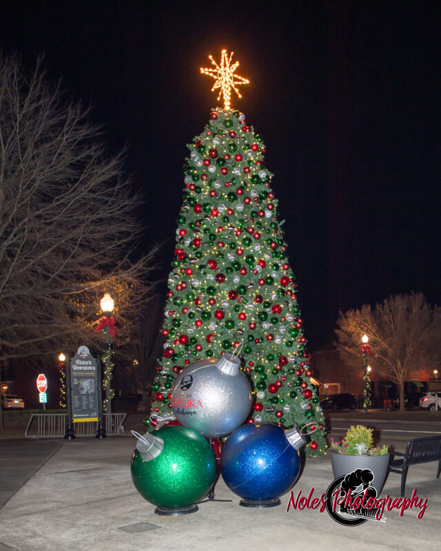 2023-Opelika-Decorations-3791