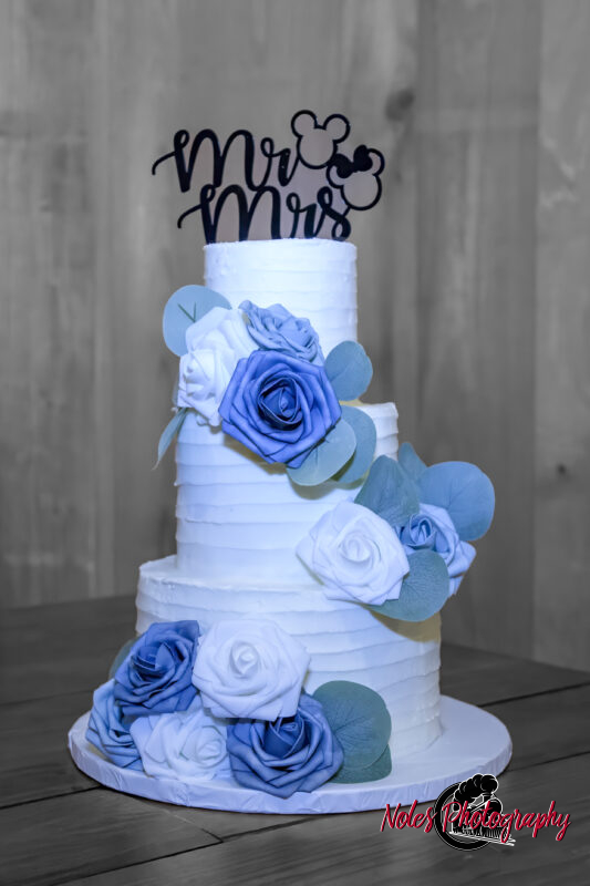 Boone-Odom-Wedding-Reception_-19499-3