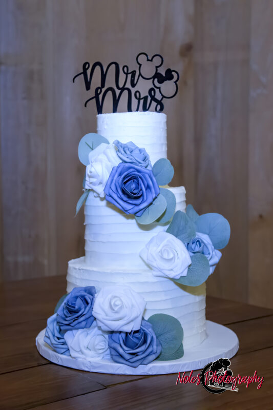 Boone-Odom-Wedding-Reception_-19499-4