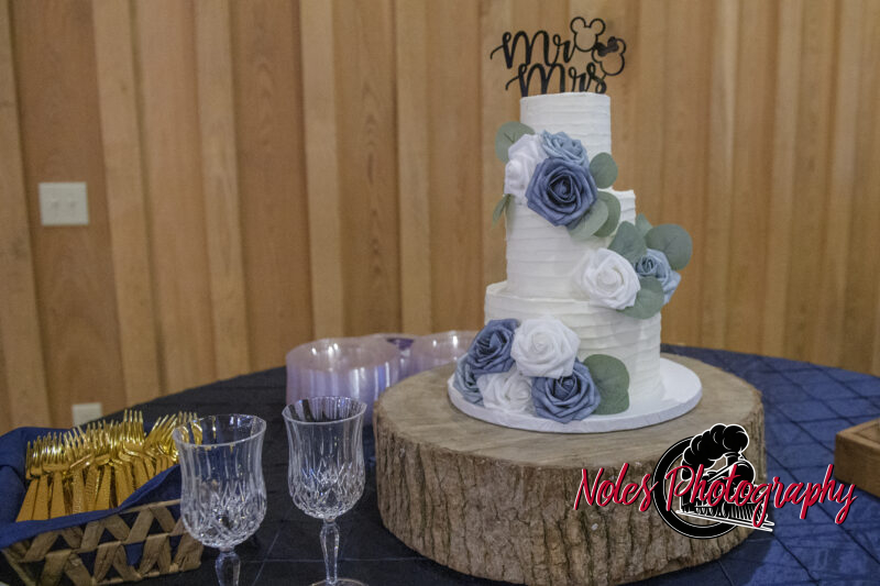 Boone-Odom-Wedding-Reception_NP19376
