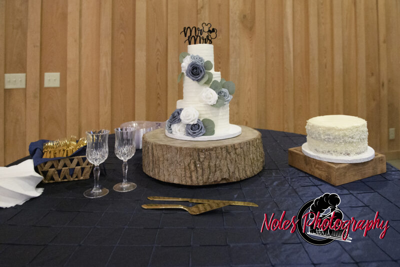Boone-Odom-Wedding-Reception_NP19379