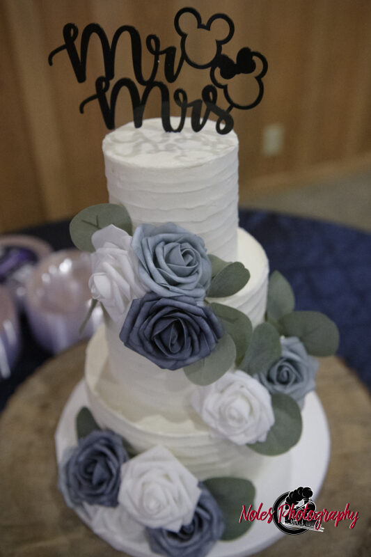 Boone-Odom-Wedding-Reception_NP19382