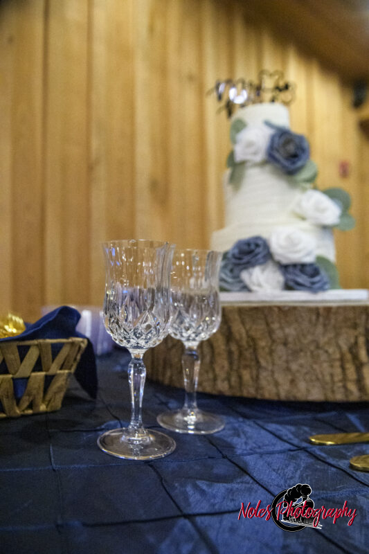 Boone-Odom-Wedding-Reception_NP19383