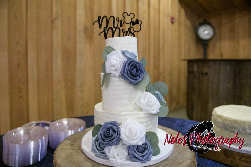 Boone-Odom-Wedding-Reception_NP19384