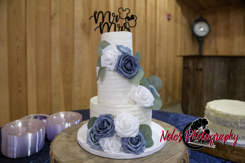 Boone-Odom-Wedding-Reception_NP19385