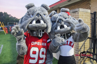 Meet-The-Bulldogs-18281