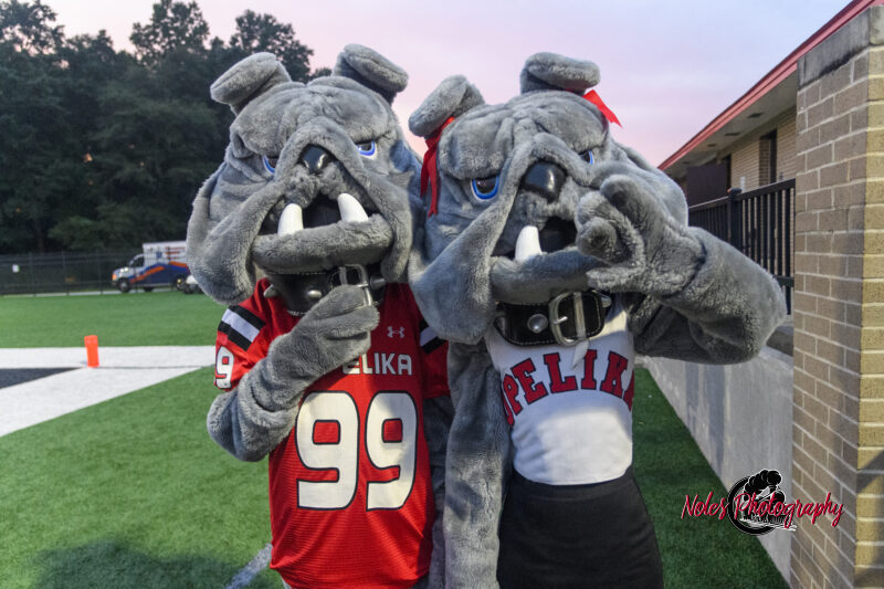 Meet-The-Bulldogs-18293