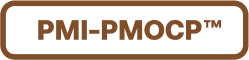 PMO Leadership