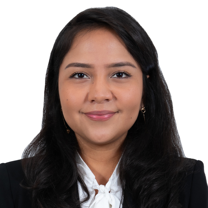 Diane N. Moya