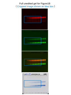 Data supporting manuscript "Cell-free, high-density lipoprotein-specific phospholipid efflux assay predicts incident cardiovascular disease."