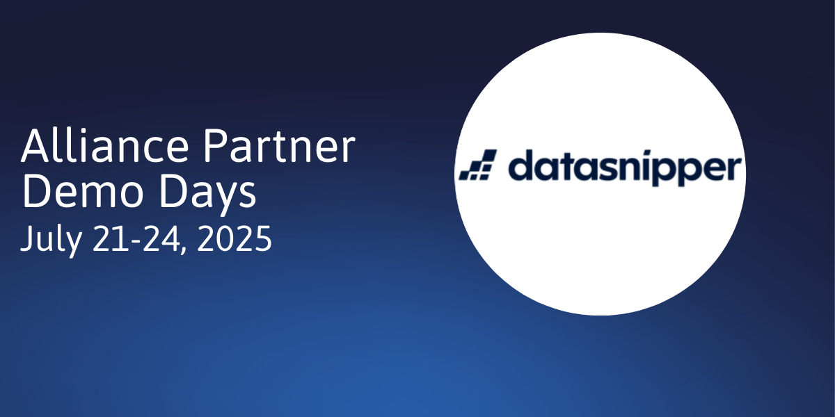 DataSnipper Demo