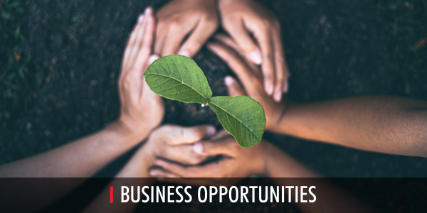 Ecosia Article Bo 600X300 02 22