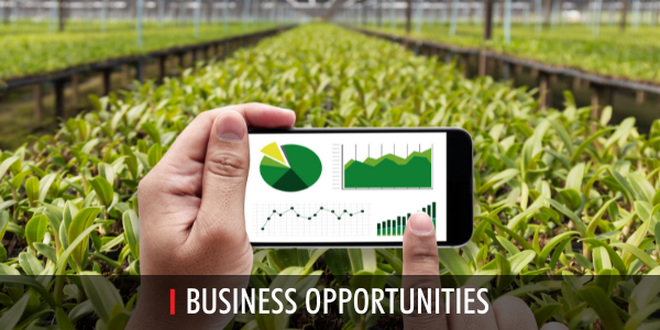 Sustainability Bo Kcoe Isom 04 22