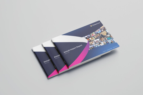 Annual Impact Report 2024/25