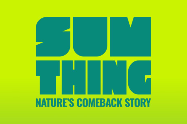 PrimeGlobal & Sumthing