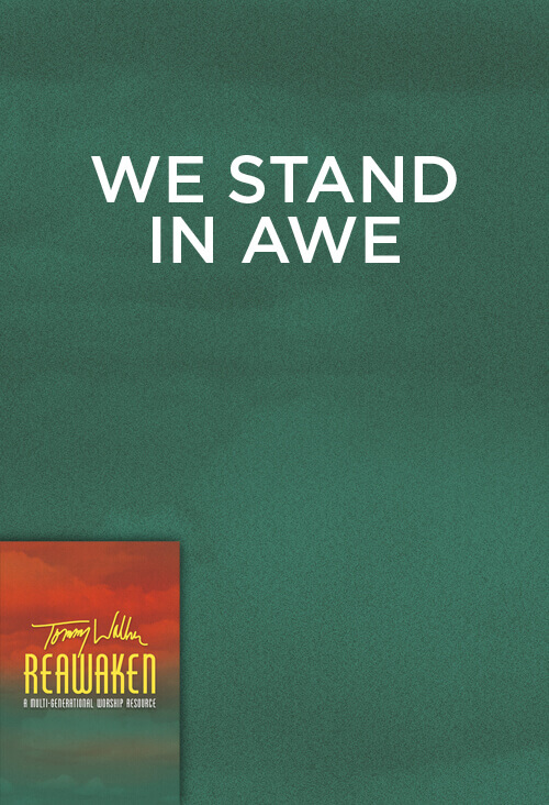 We Stand In Awe