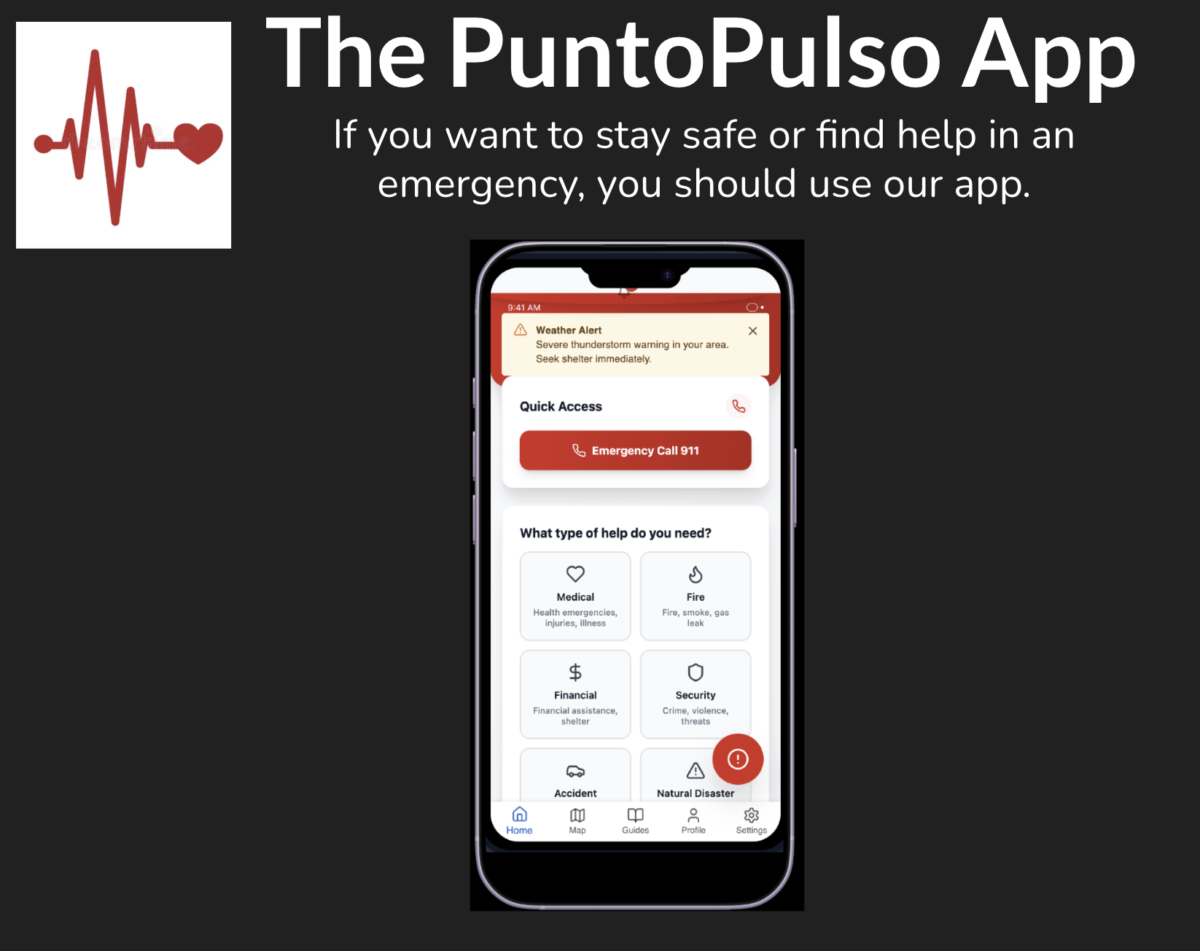 The Punto Pulso App