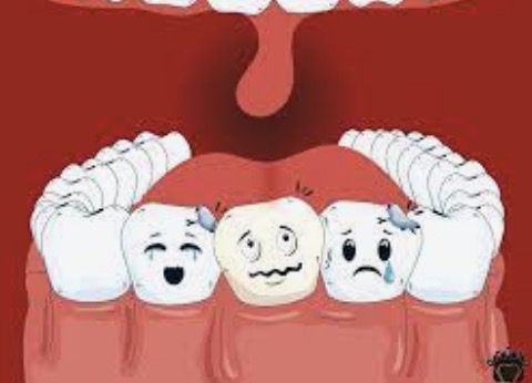 Prodentim Reviews Bbb
