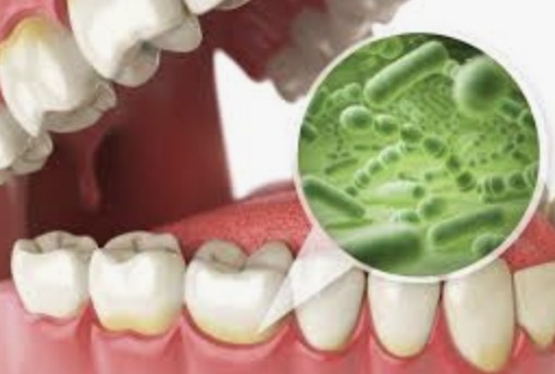 What Is The Review On Prodentim And How Does It Work
