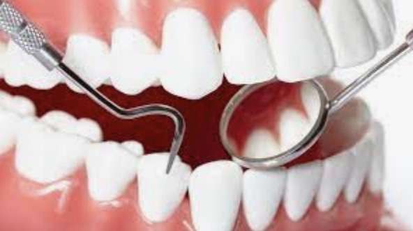 Prodentim Doctor Review