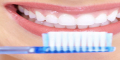 Prodentim Reviews From Customers