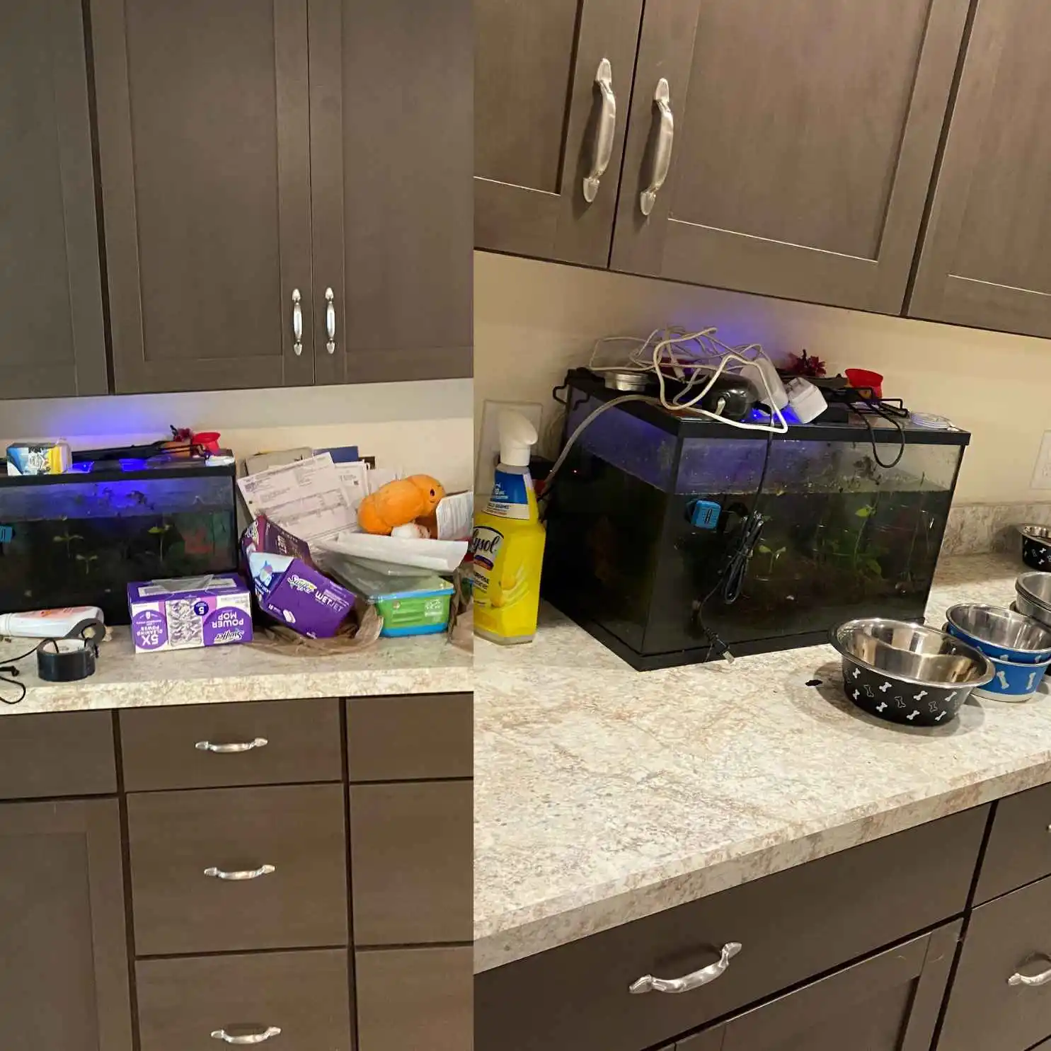 MOVE-OUT | 3 BD 2 BTH Results