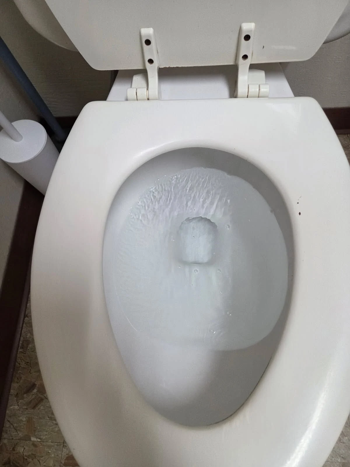 Remove Toilet Bowl Stain