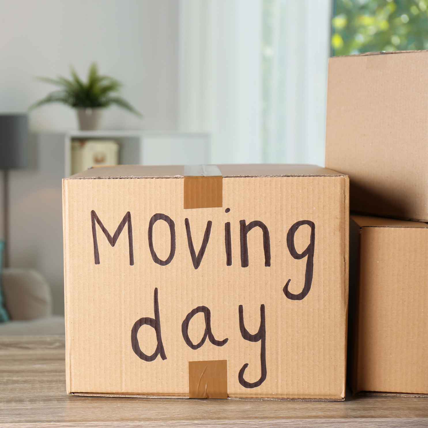 What Apartment Move-Out Cleaning Includes