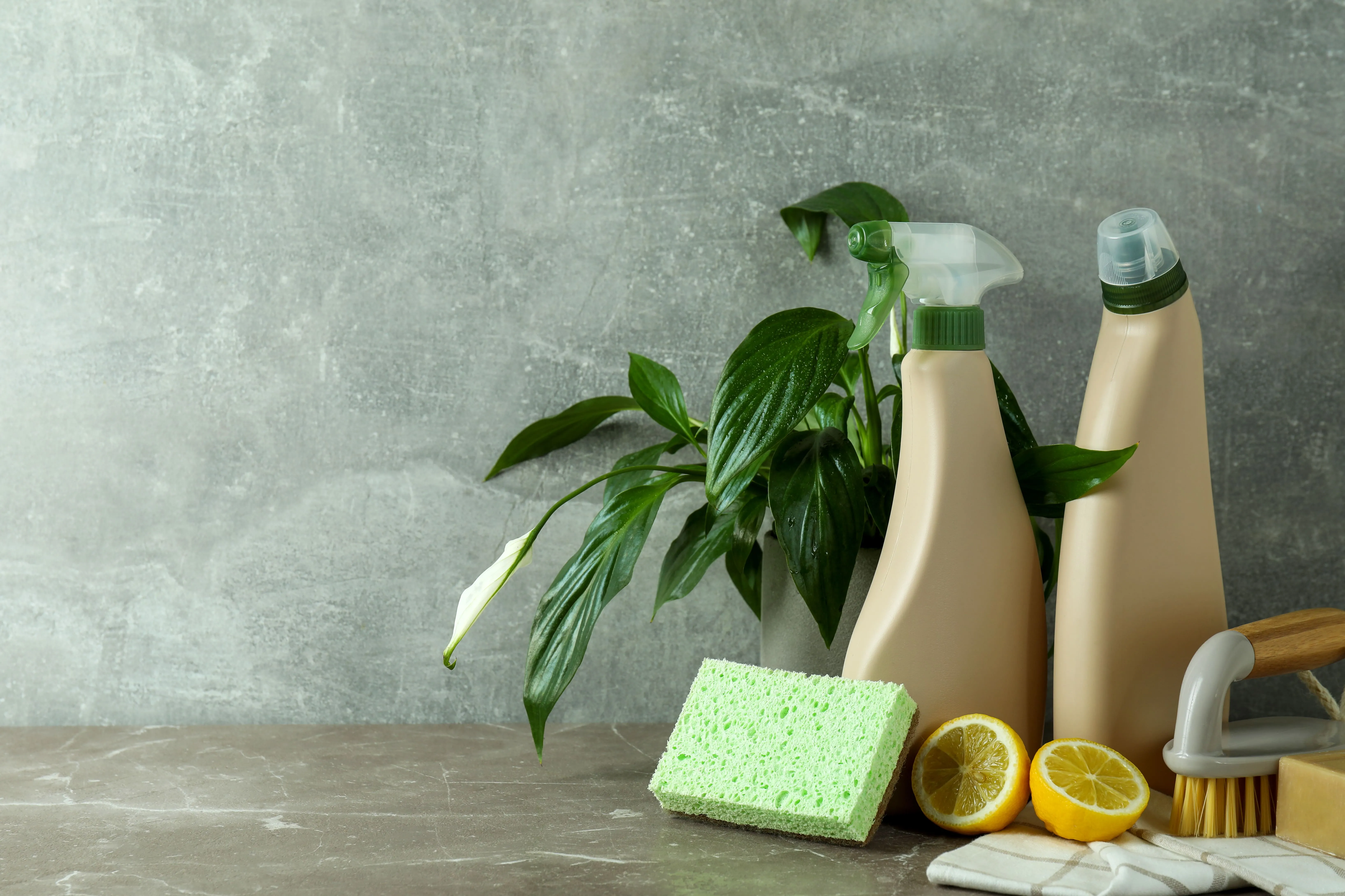 Eco-friendly solutions for house cleaning