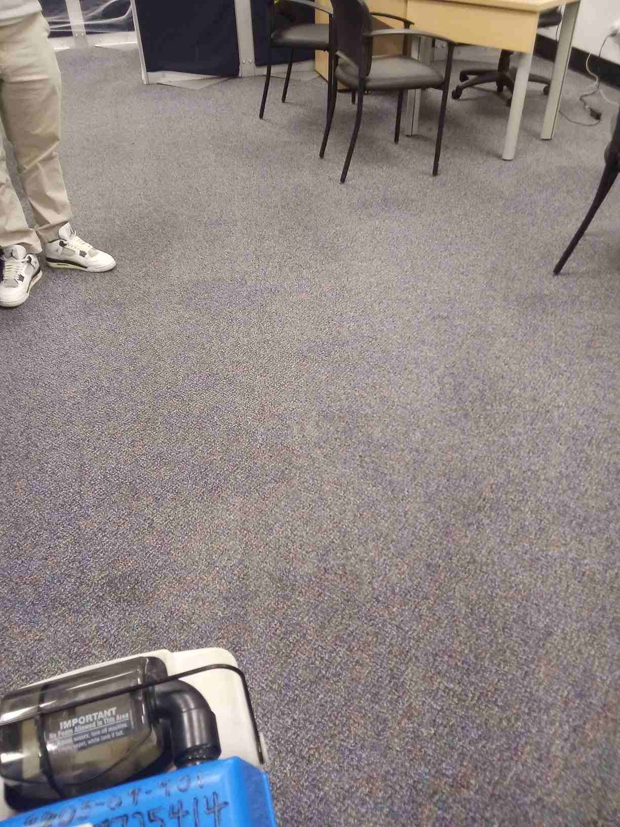 Eco-friendly carpet steam cleaning equipment used by The CoBuilders in a Colorado office