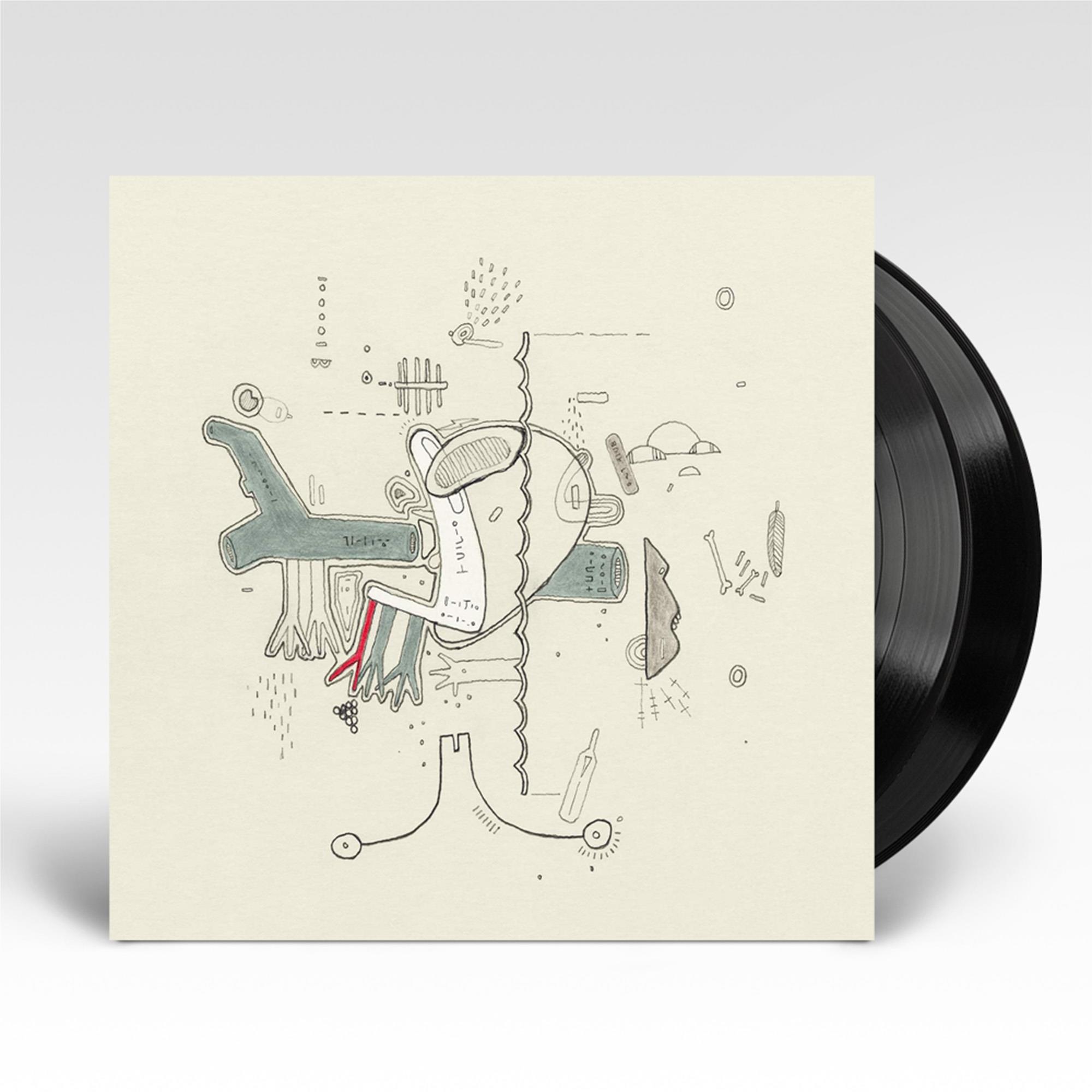 Tiny Changes: A Celebration of Frightened Rabbit's 'The