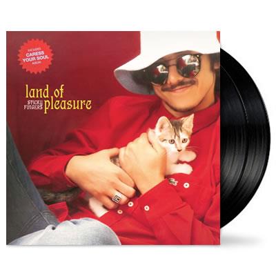 Land Of Pleasure / Caress Your Soul (Vinyl) (Repress) - JB Hi-Fi
