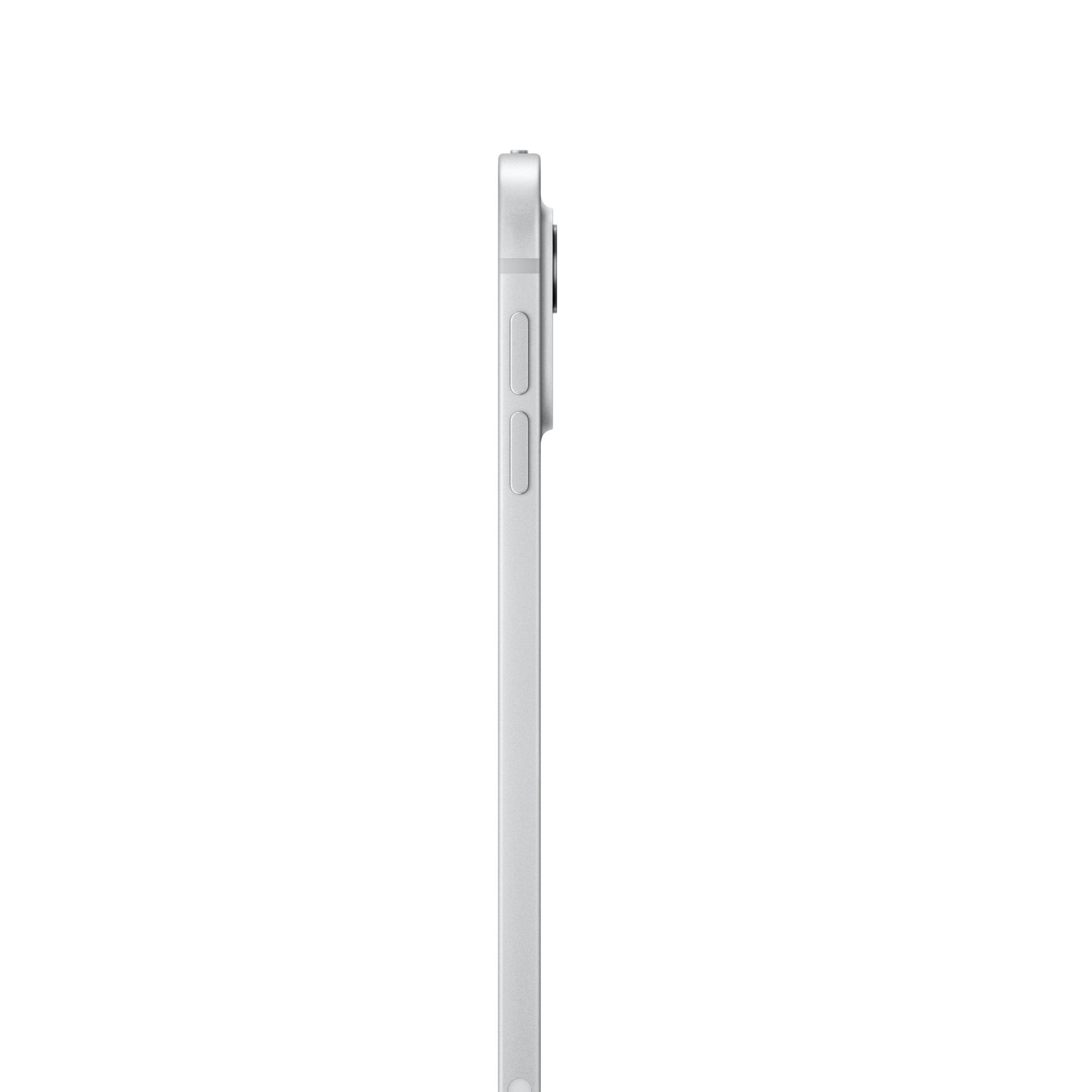 Apple iPad Pro 11-inch 1TB Wi-Fi with Nano-Texture Glass (Silver
