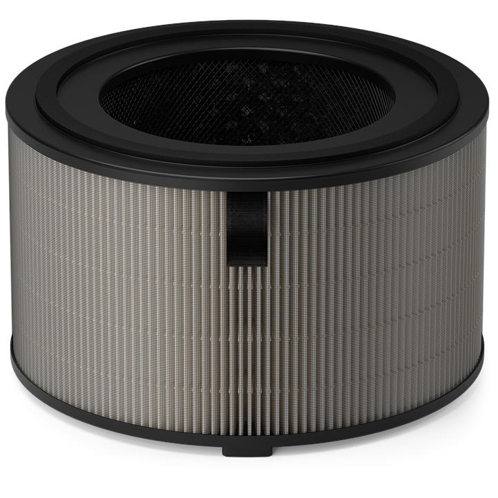 Philips PureProtect Pro 4200 Series HEPA NanoProtect Filter (2 Pack)
