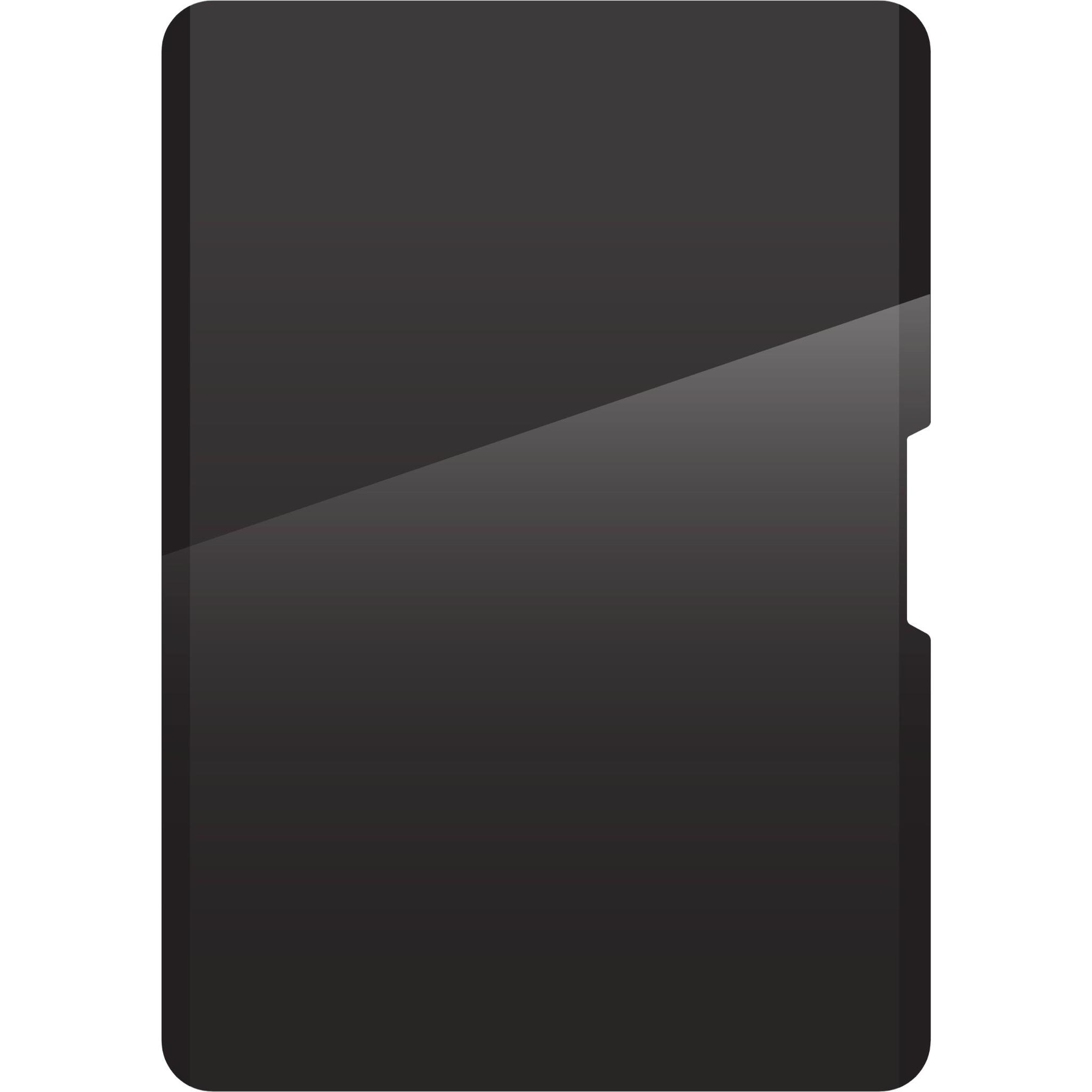 ZAGG Removable 4-Way Privacy Filter for Apple iPad Pro 11" (M5/M4) & iPad Air 13” (M4/M3/M2)