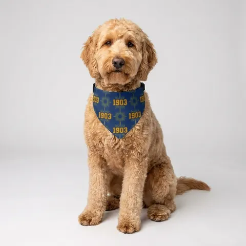 Albany State 1903 Blue & Gold Sunburst Clip-on Pet Bandana