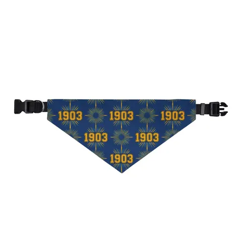 Albany State 1903 Blue & Gold Sunburst Clip-on Pet Bandana — front view