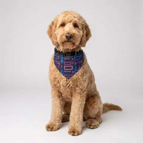 Detroit Motown Neon Clip-on Pet Bandana