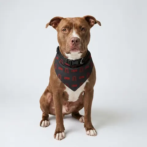 Clark Atlanta 1988 Black & Red Arch Clip-on Pet Bandana