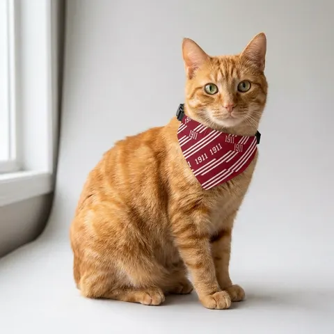 Kappa 1911 Cane Lines Clip-on Pet Bandana