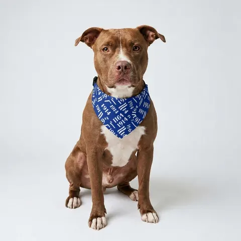 Sigma 1914 Royal Blue & White Clip-on Pet Bandana