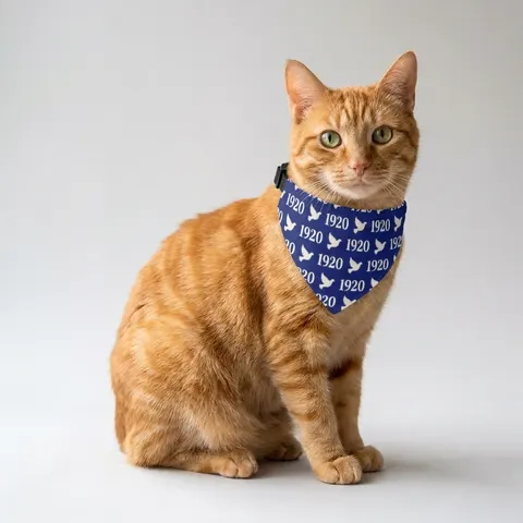 Zeta 1920 Royal Blue & White Clip-on Pet Bandana