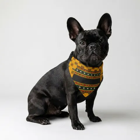 Faith Flag Afro-Spiritual Cowrie & Kente Clip-on Pet Bandana