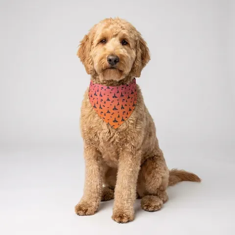 Faith Flag Black Church Sunrise Clip-on Pet Bandana