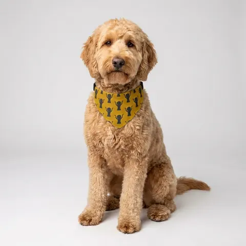Faith Flag Black Woman in Praise Silhouette Clip-on Pet Bandana