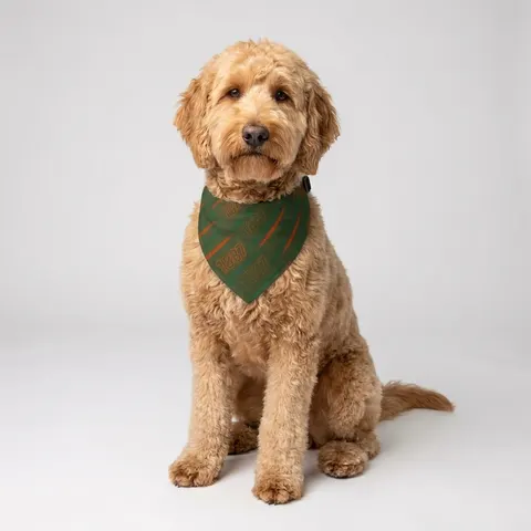 FAMU 1887 Orange & Green Energy Clip-on Pet Bandana