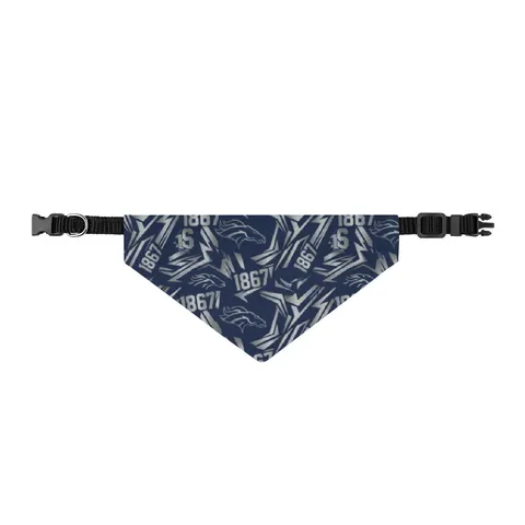 Fayetteville State 1867 Blue & Silver Clip-on Pet Bandana — front view