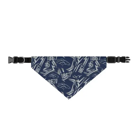 Fayetteville State 1867 Blue & Silver Clip-on Pet Bandana — front view