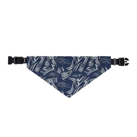 Fayetteville State 1867 Blue & Silver Clip-on Pet Bandana — front view