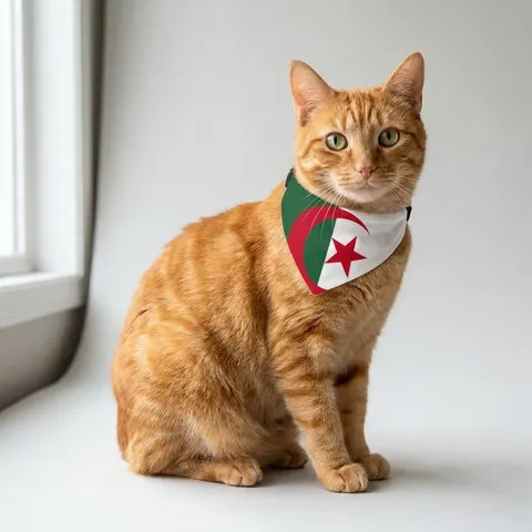 Algeria Green White Red Crescent Clip-on Pet Bandana